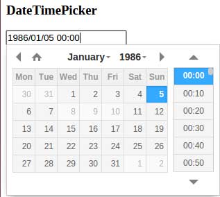 date time picker